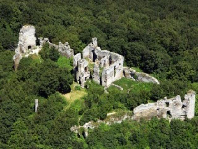 Viniansky hrad